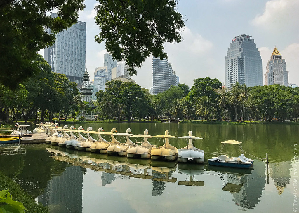 Парк люмпини (lumpini park) - городской парк в бангкоке: фото и описание, как добраться - 2023