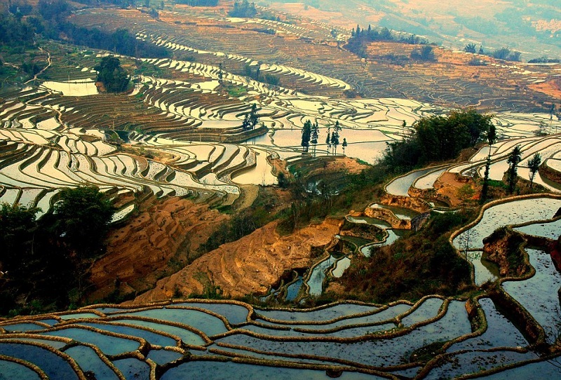 Рисовые террасы хунхэ-хани, китай.