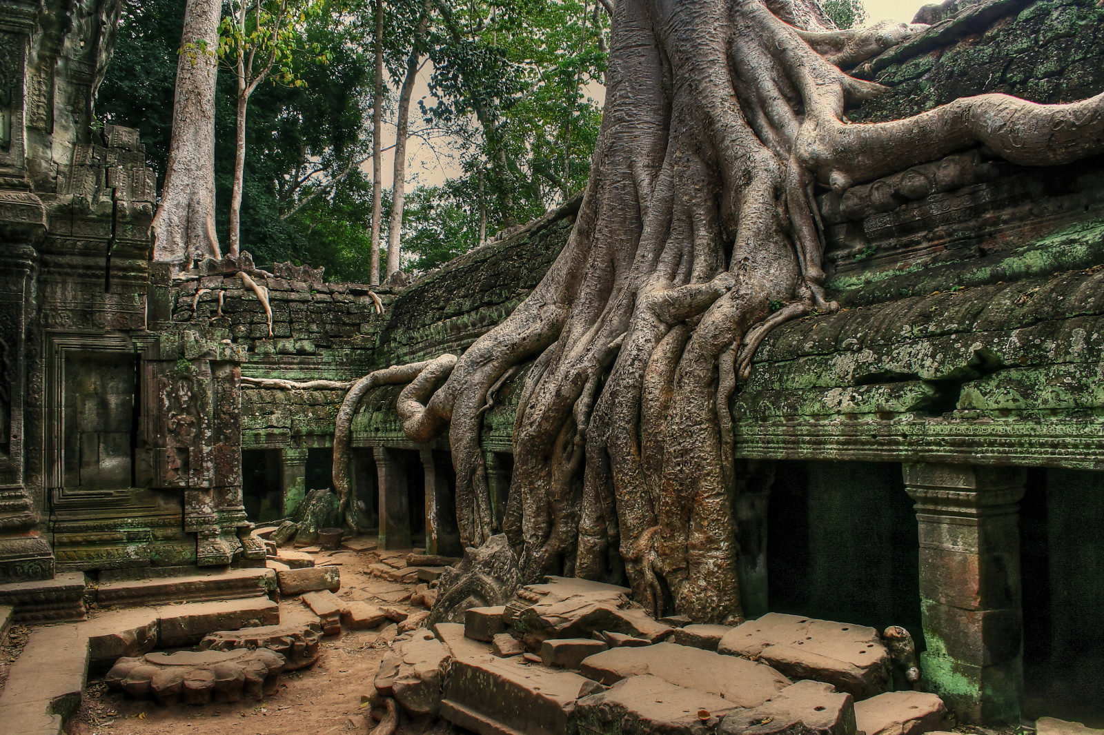 Ученые с помощью лазера нашли потерянный древний город в камбодже