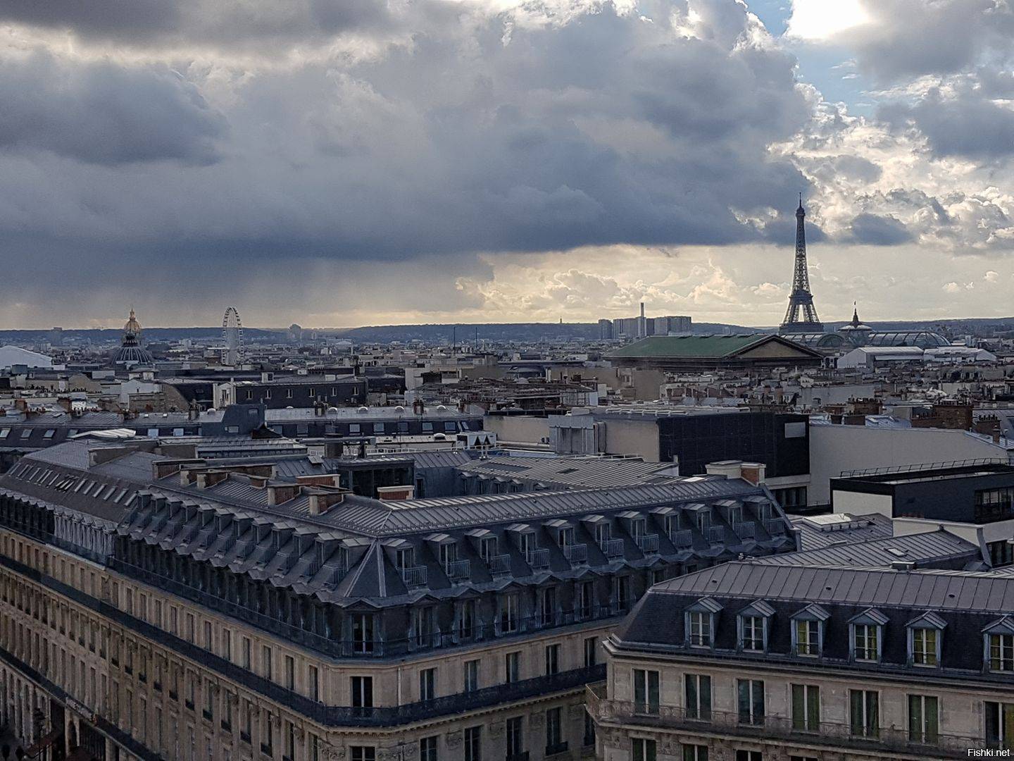 На парижских крышах — пасеки. крыши нотр-дама,... - geogram.club