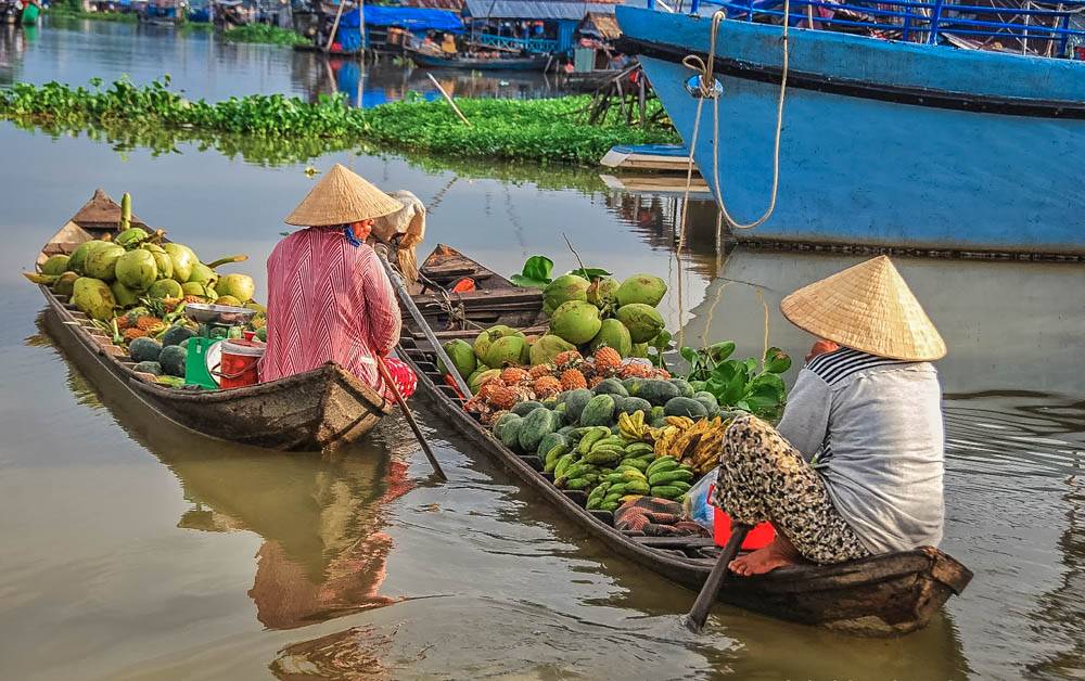 Верхний 4 обязательно посетите лес в дельте реки меконг во вьетнаме