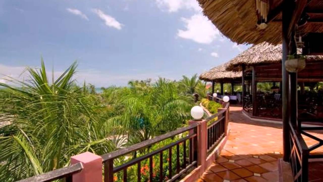 Отель ocean star resort 4*, вьетнам, фантхьет: обзор, номера и отзывы туристов :: syl.ru