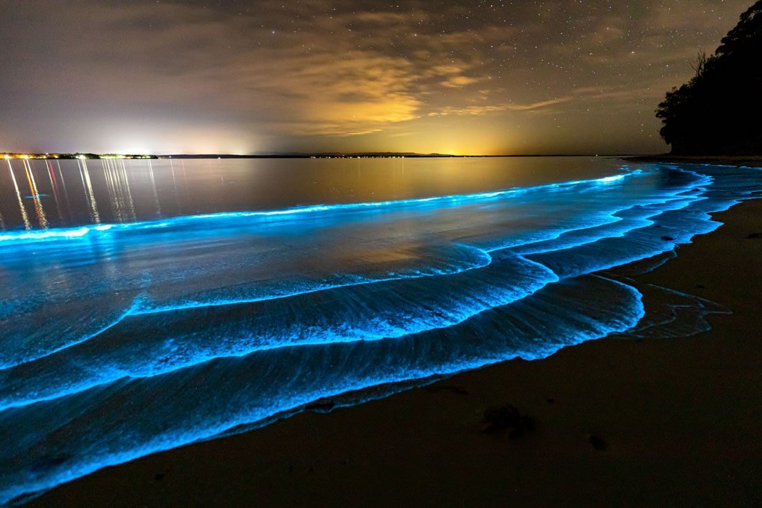 Светящийся планктон на мальдивах когда можно увидеть. мальдивы — пляжи на карте атоллов с отелями и резортами