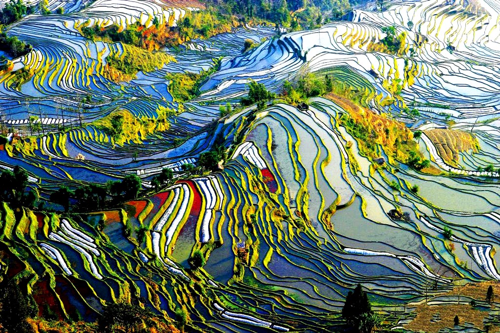 Рисовые террасы хунхэ-хани