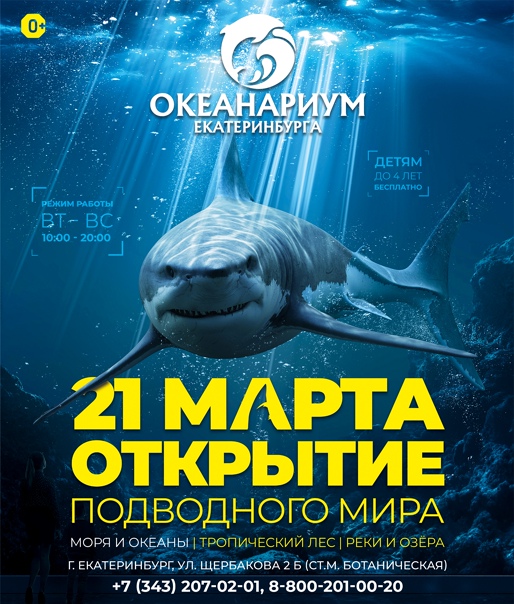 Океанариум в санкт-петербурге: удивительный водный мир