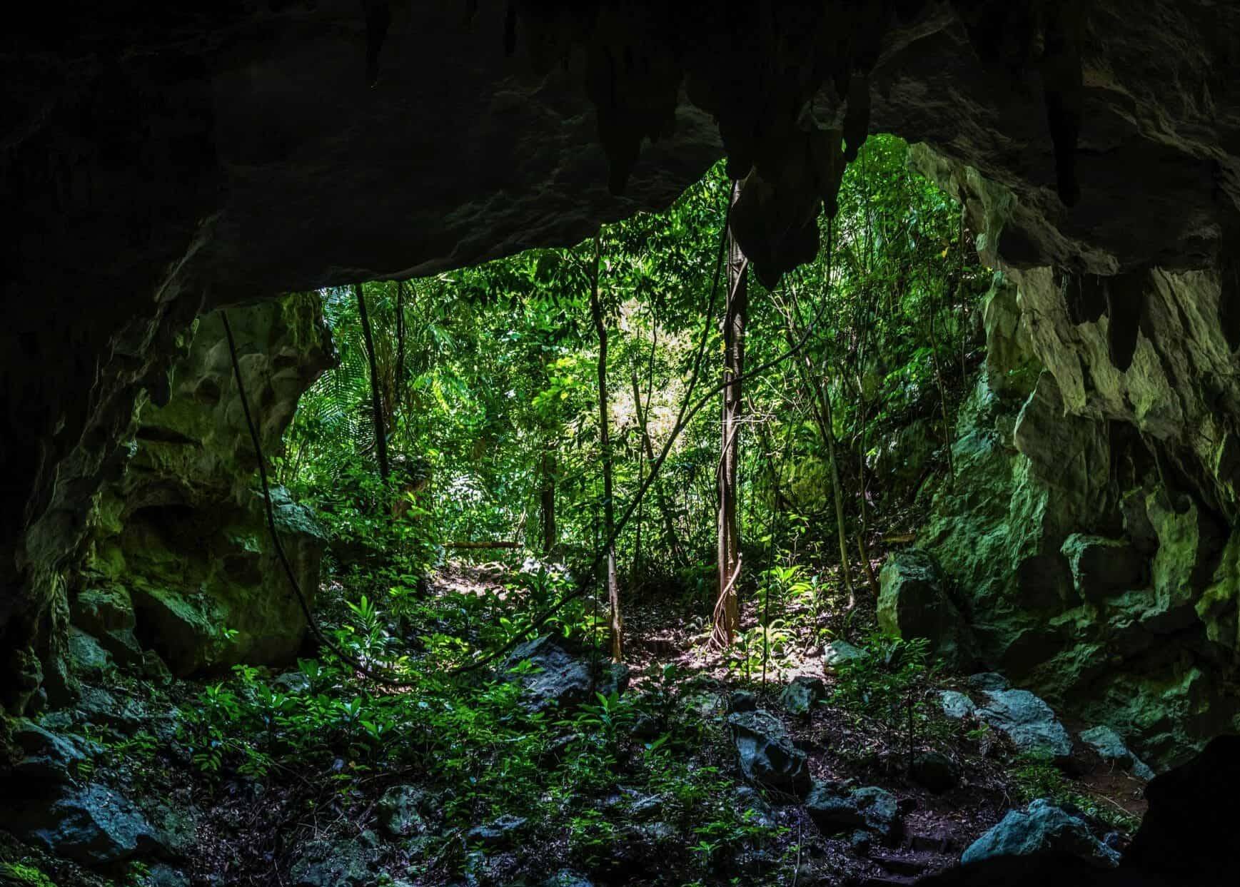 Необыкновенные пещеры плато лаго-наки: интересное путешествие по кавказу