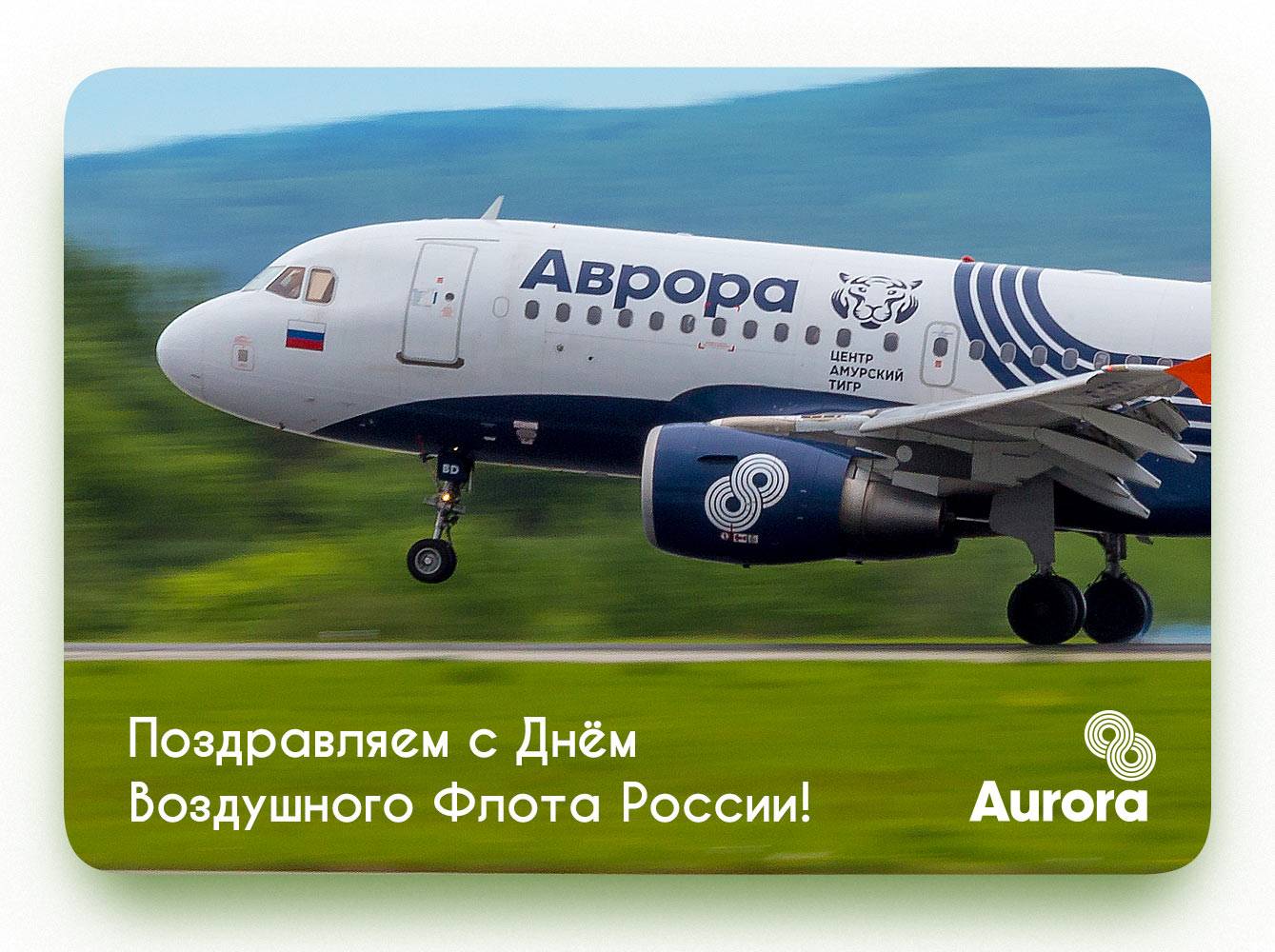 Авиакомпания аврора — куда летает, парк самолетов, отзывы