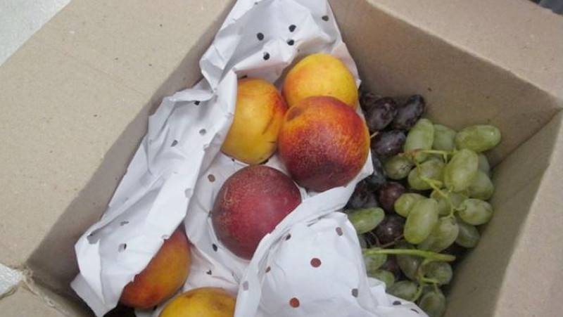 Как везти фрукты из тайланда: все тонкости 2019