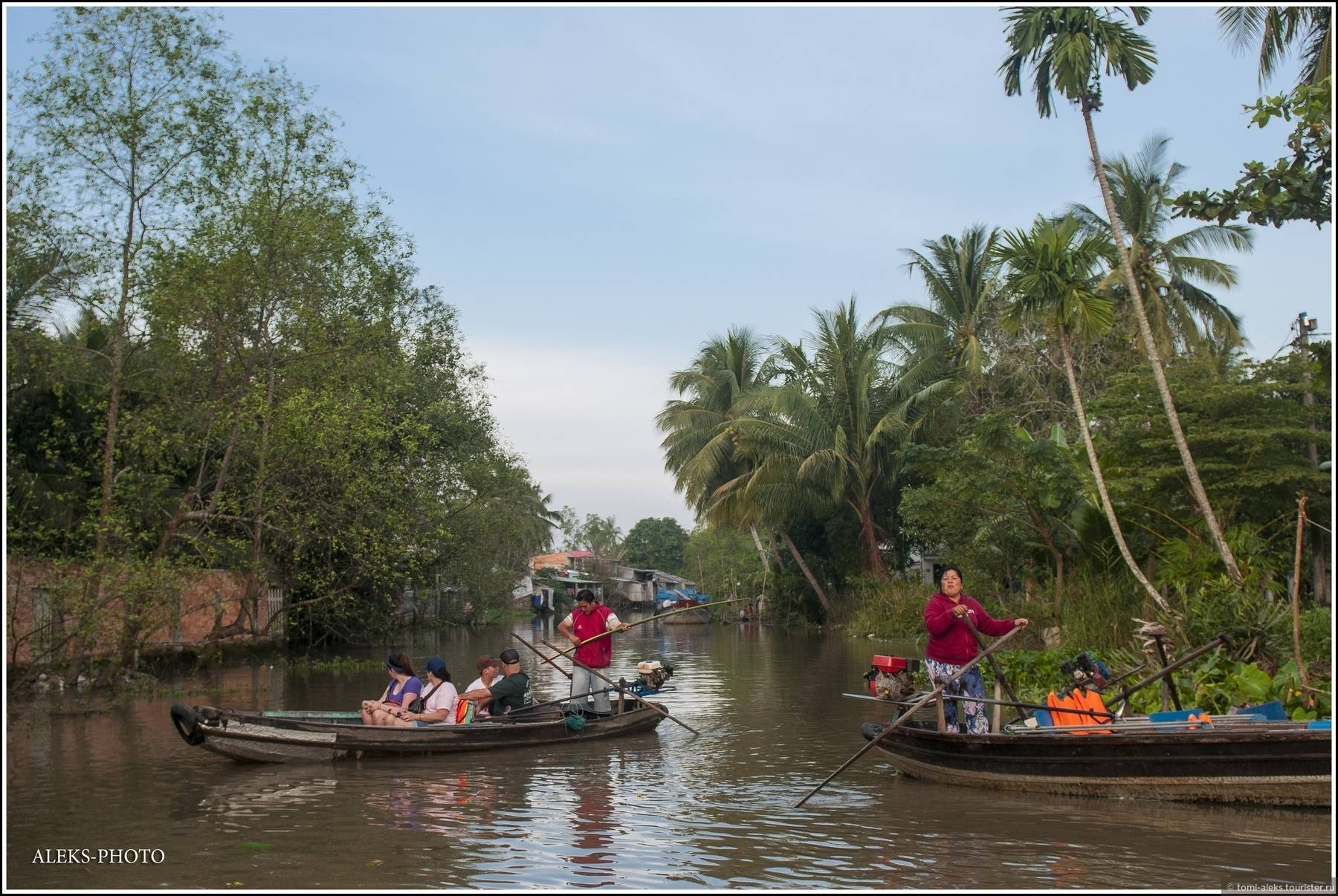 Верхний 4 обязательно посетите лес в дельте реки меконг во вьетнаме - руководство вьетнама