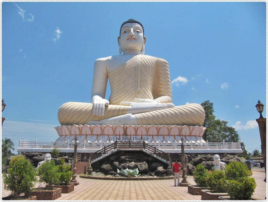 Шри м. Храм Будды Шри Ланка. Будда Шакьямуни Шри Ланка. Храм Будды Коломбо Шри Ланка. Канди статуя Будды Шри Ланка.