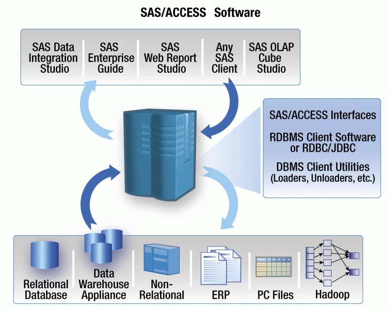 Сас в медицине. SAS (software). SAS язык программирования. SAS анализ данных. Протокол SAS.