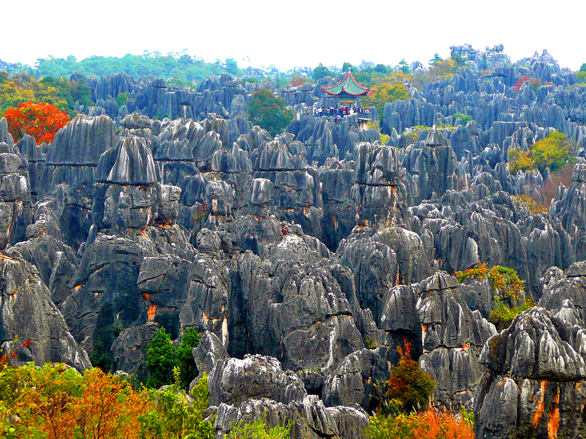 Каменный лес китай фото