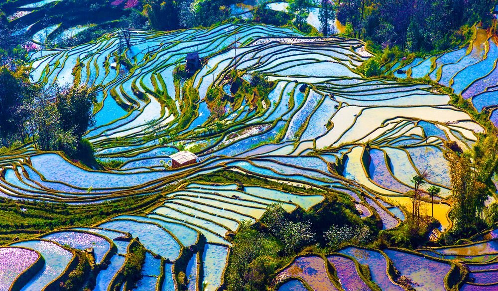 Рисовые террасы хунхэ-хани, китай. удивительное место: рисовые поля в китае