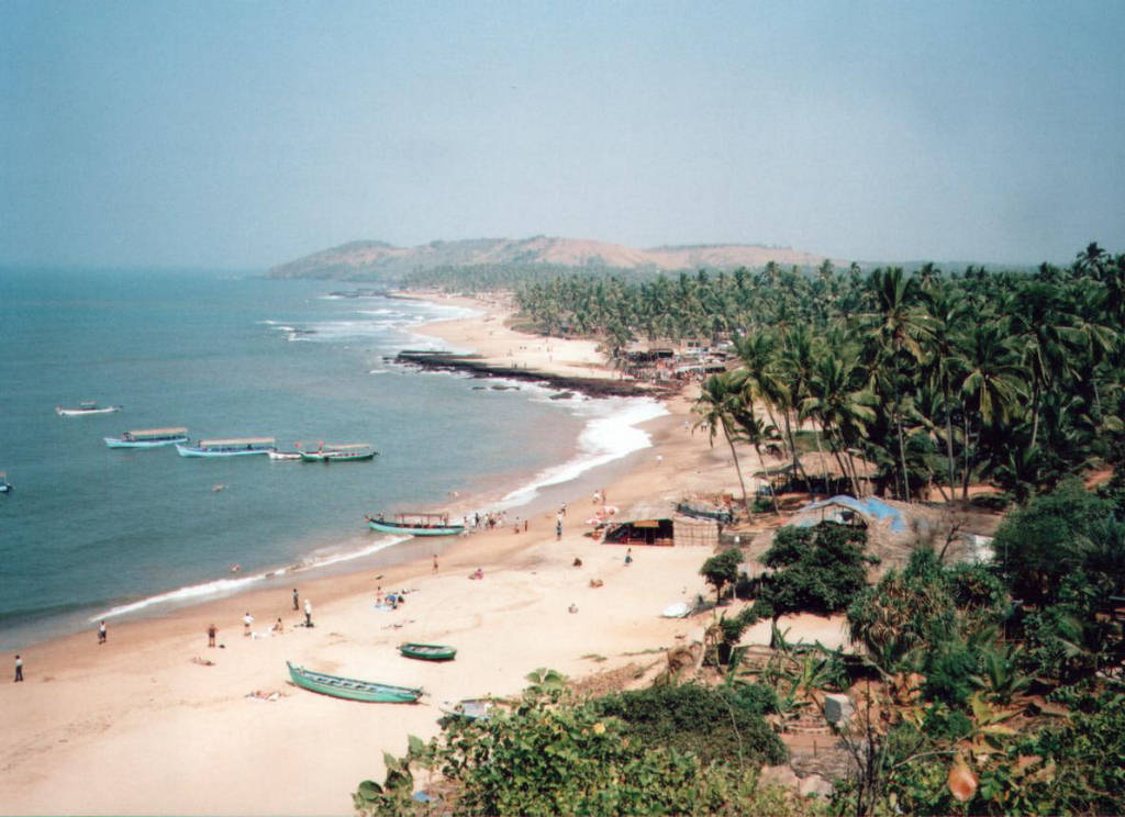 Пляж анджуна в гоа, индия