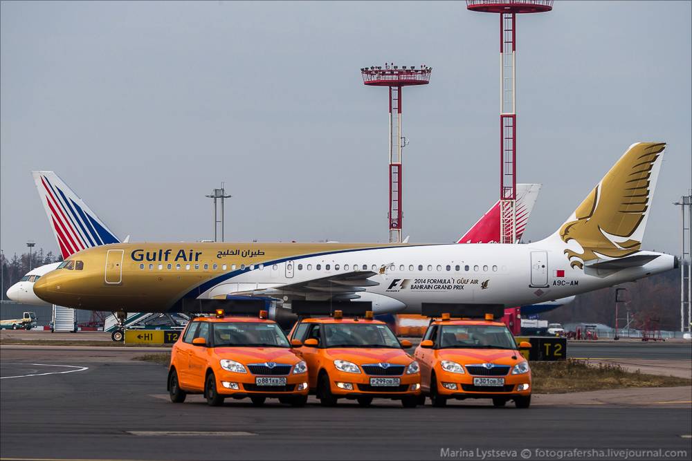 Флагманская авиакомпания королевства бахрейн gulf air: отзывы, самолеты