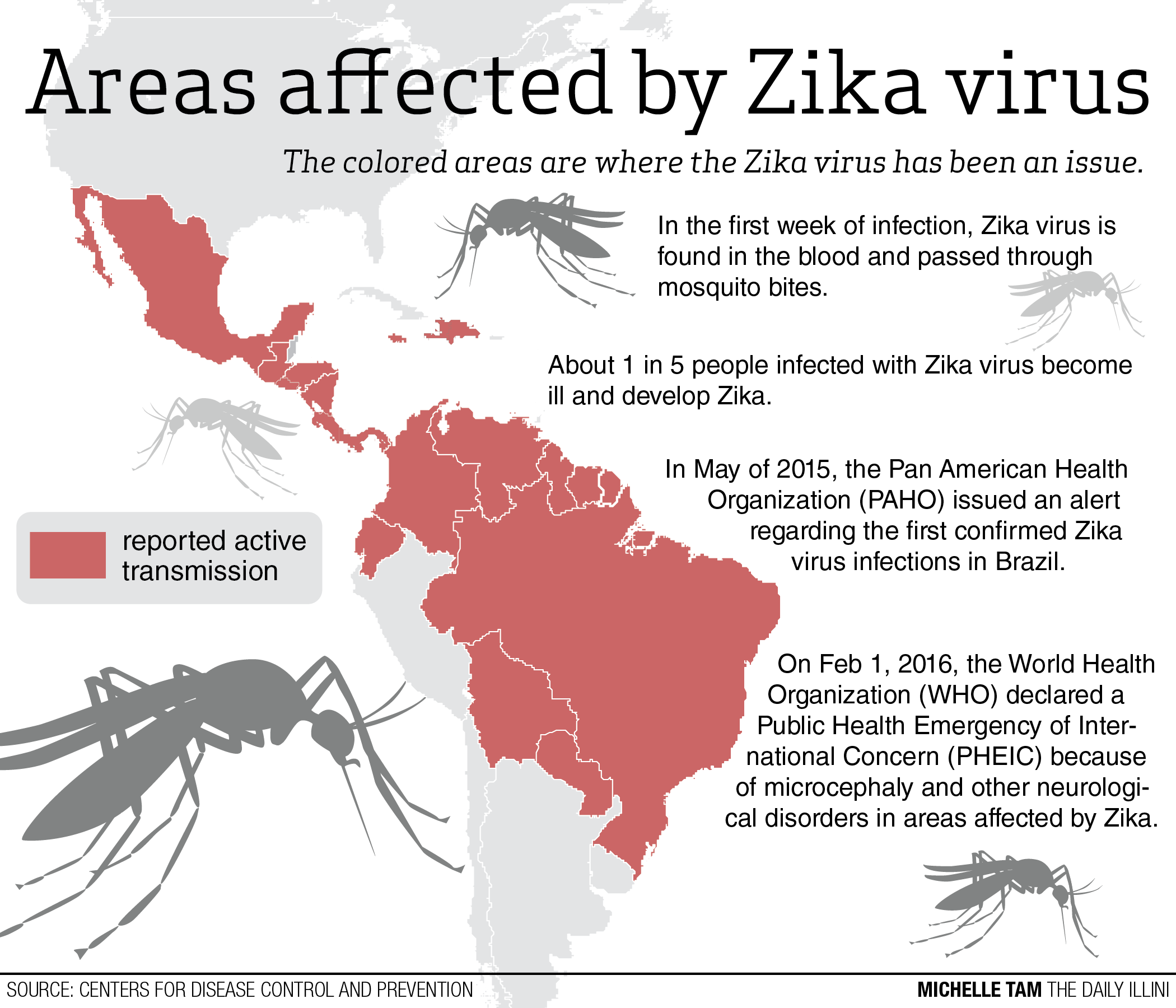 О комарах, вирусе зика и эпидемии лихорадки в бразилии