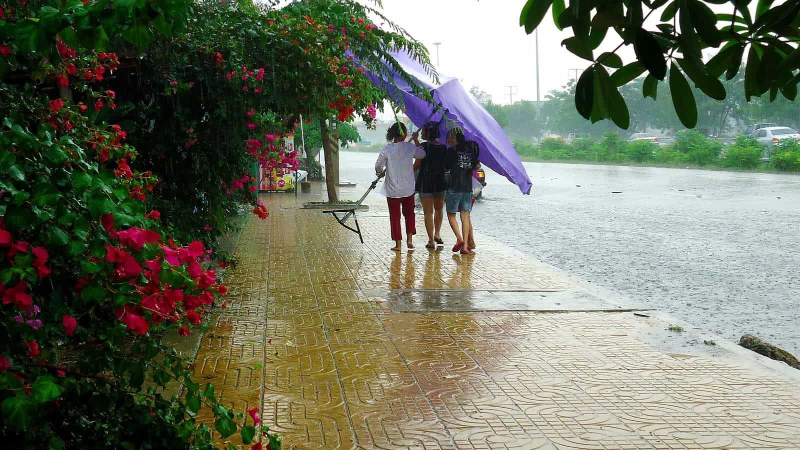 Погода в тайланде: сезон дождей - это миф или реальность? – 2023 отзывы туристов и форум "ездили-знаем!" * таиланд