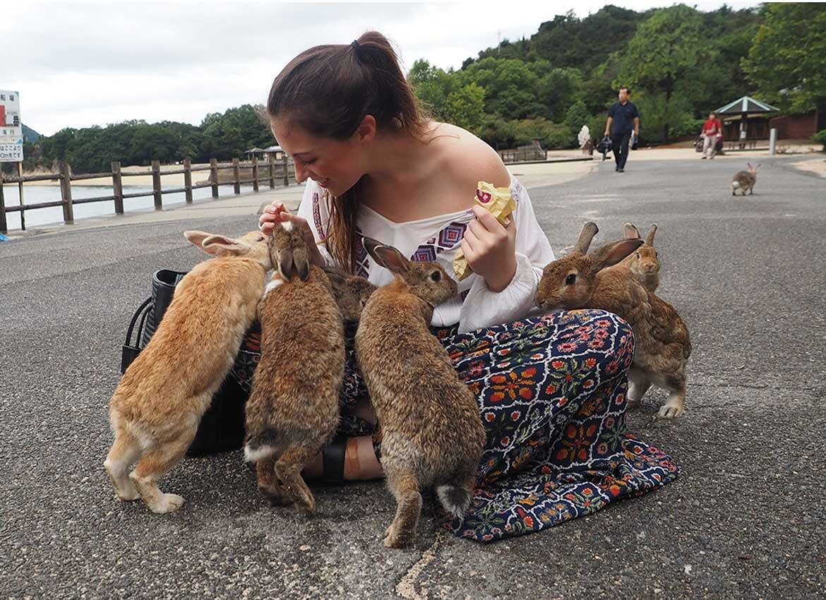 Окуносима - остров кроликов в японии — life in japan