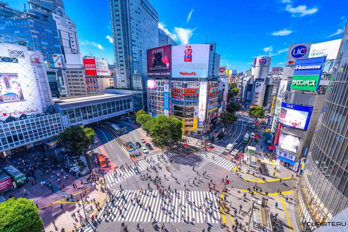 Самые красивые туристические города японии, которые стоит посетить - топ 10 с описанием и фото