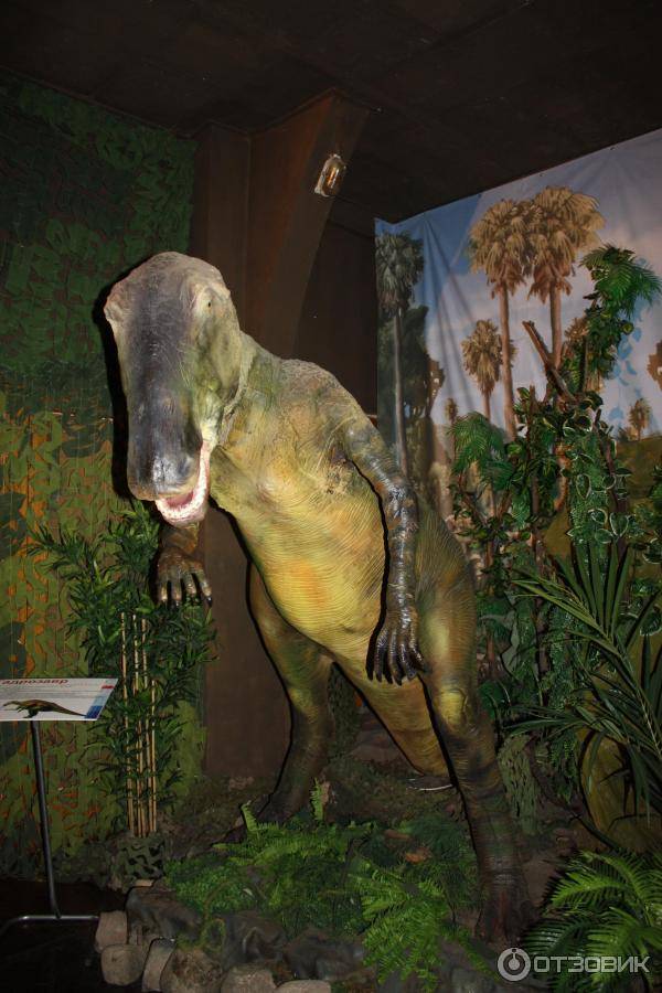Экспозиция «планета динозавров» санкт-петербург - санкт-петербург - все о северной столице россии