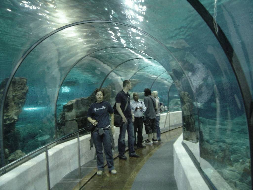 Barcelona aquarium | barcelona-home blog
barcelona aquarium | barcelona-home blog