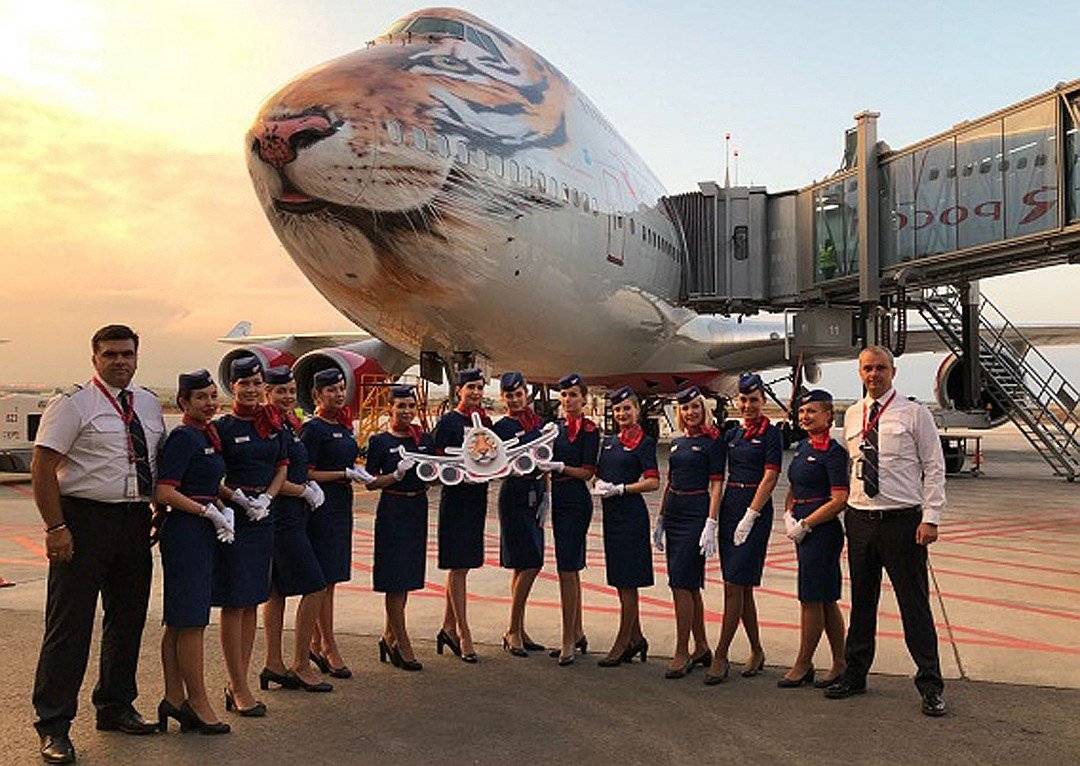 Тигролет (авиакомпания россия): что это за самолет с тигром на носу, как выглядит (фото), как на него попасть