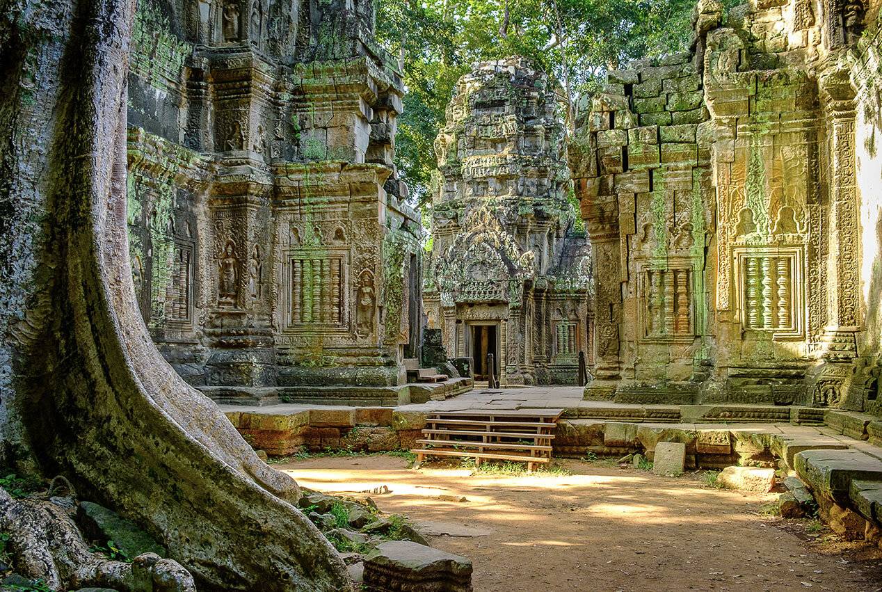 Экологический тур. джунгли и затеряные храмы камбоджи