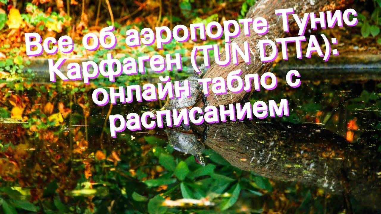 Аэропорты туниса на карте, список аэропортов туниса