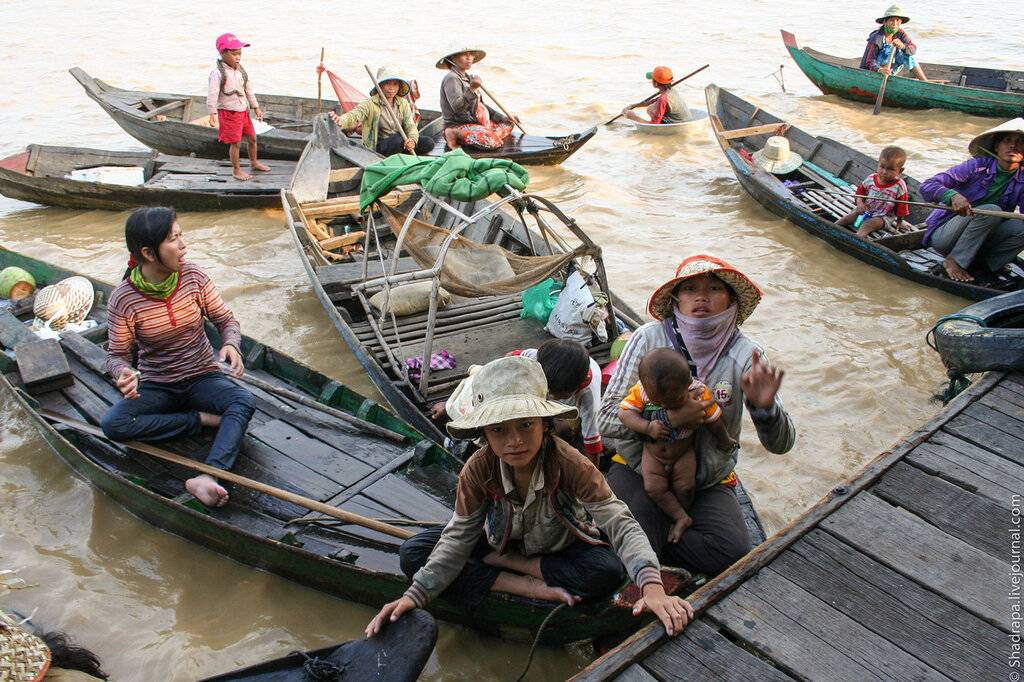 5 смертельно опасных насекомых во вьетнаме