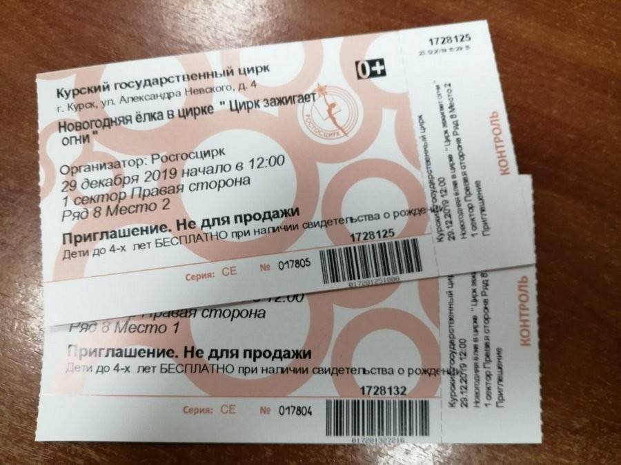 Как купить билет на концерт по пушкинской. Билет в цирк. Билет на концерт цирк. Как выглядит билет в цирк. Цирковые билеты.