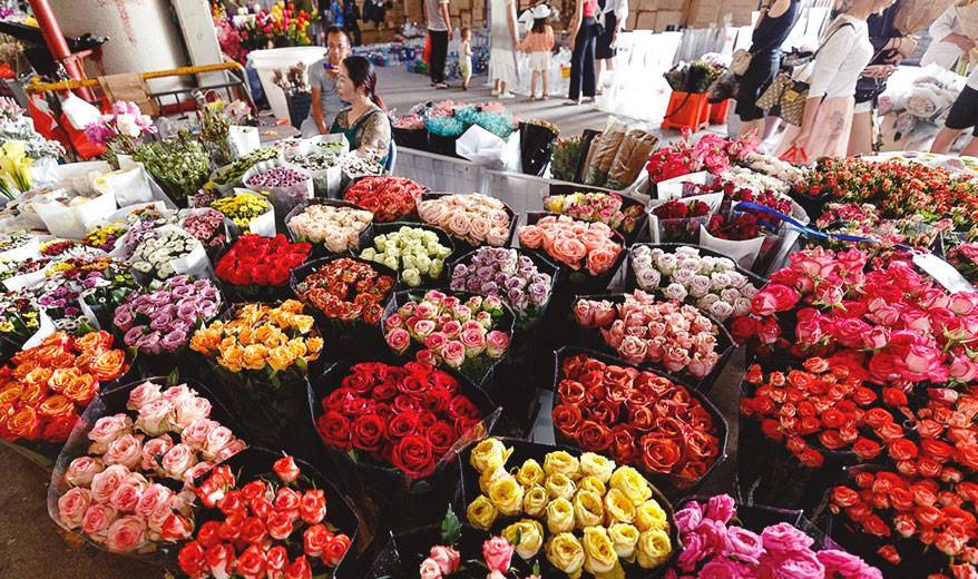 Цветы таиланда - название, описание и фото
