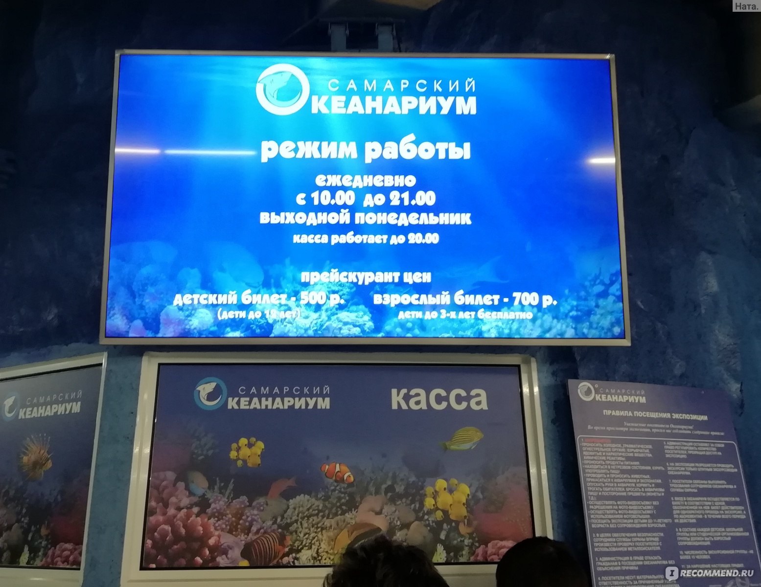 Океанариум питер часы работы адрес цены – аквариум спб билеты