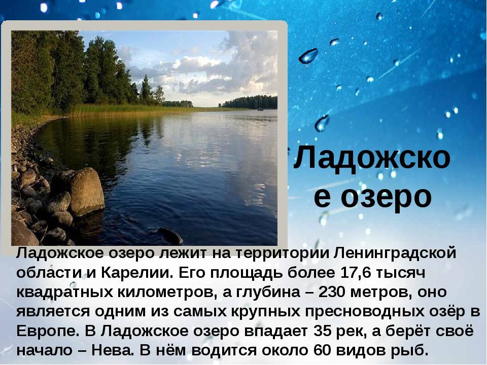 Водные богатства ленинградской области презентация