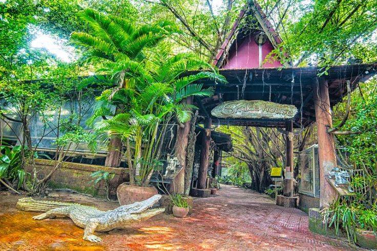 Что представляет собой бамбуковый остров в камбодже?