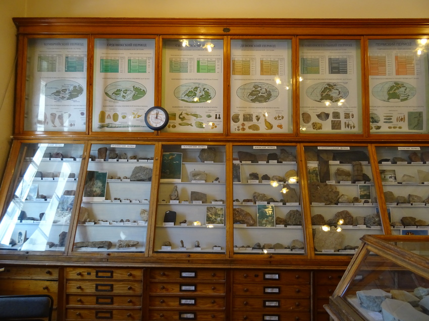 О палеонтологическом музее в санкт-петербурге: адрес, официальный сайт