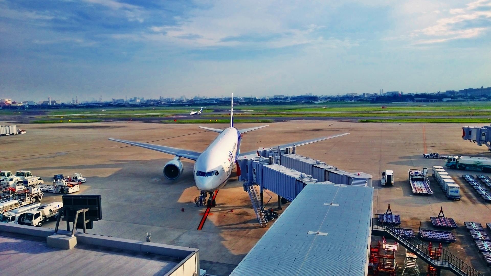 Шоппинг в аэропортах вьетнама: нячанг, фукуок, хошимин