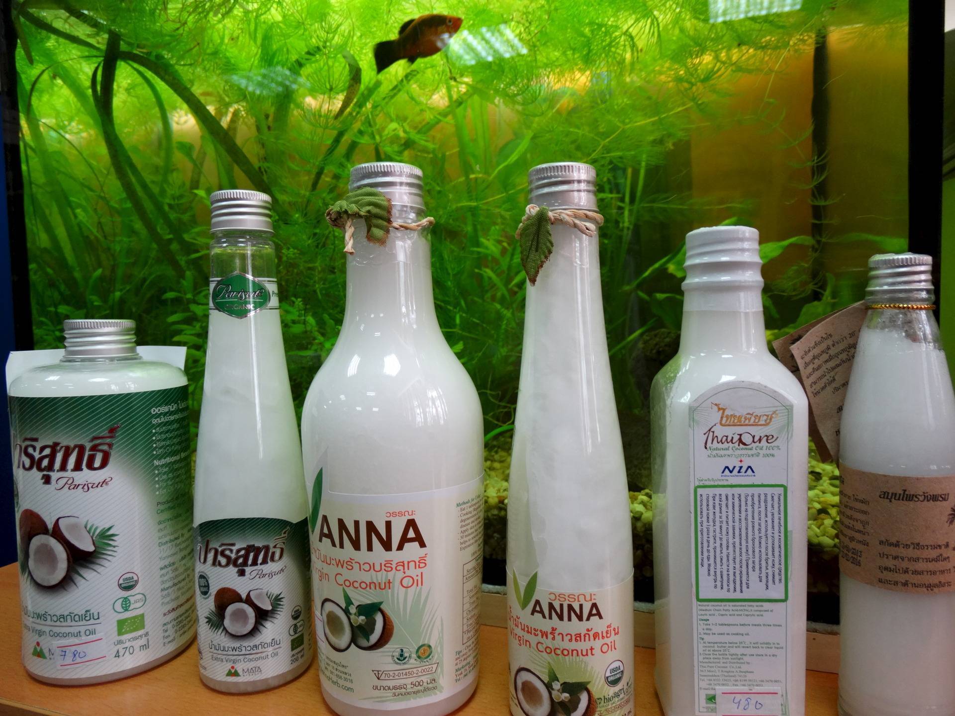 Кокосовое масло в пищу. применение, польза, свойства, достоинства, результаты. интернет-магазин кокосового масла из тайланда