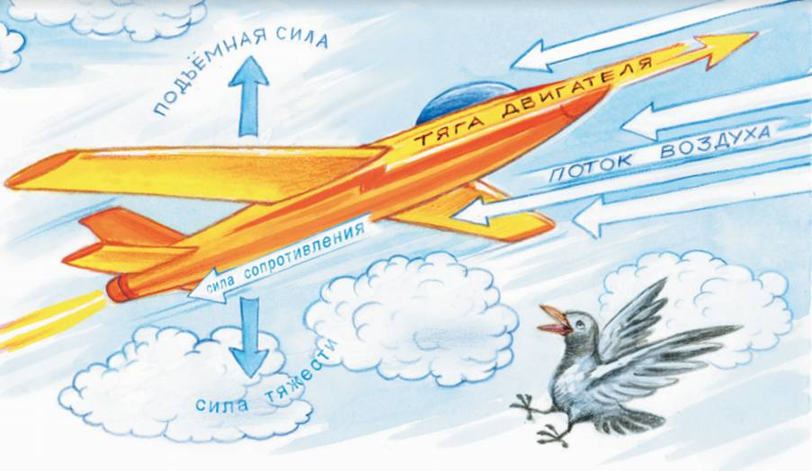 Анекдот про самолеты, которые летают и крыльями не машут якобы ну, шутку михаила николаевича задорного, надеюсь... читать и скачать онлайн бесплатно