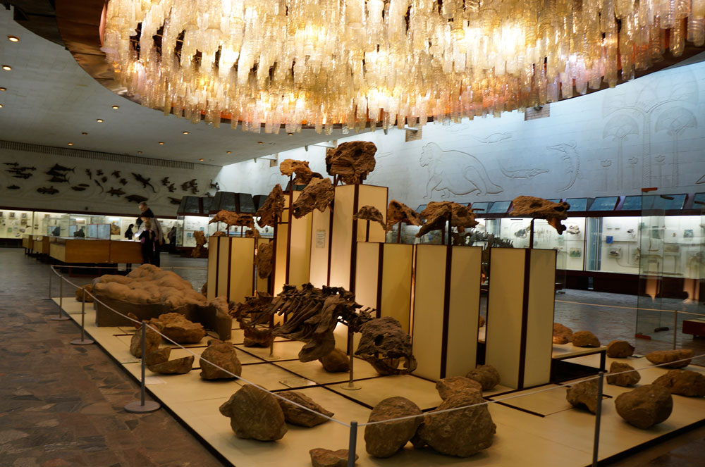 Палеонтологический музей СПб
