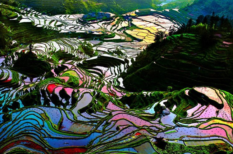 Рисовые террасы honghe hani - honghe hani rice terraces