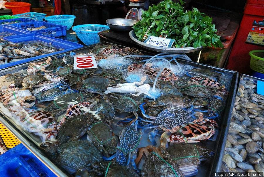 Как чистить паттайю. Паттайя рынок морепродуктов. Рыбный рынок Паттайя. Рыбный рынок в Тайланде Паттайя. Паттайя Таиланд рынок морепродуктов.