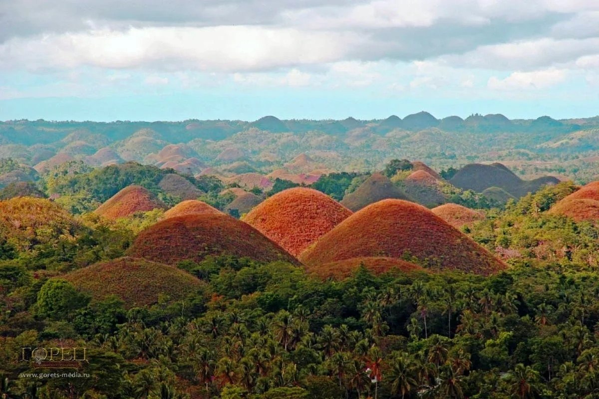 Остров бохоль, филиппины - фото, отзыв о достопримечательностях