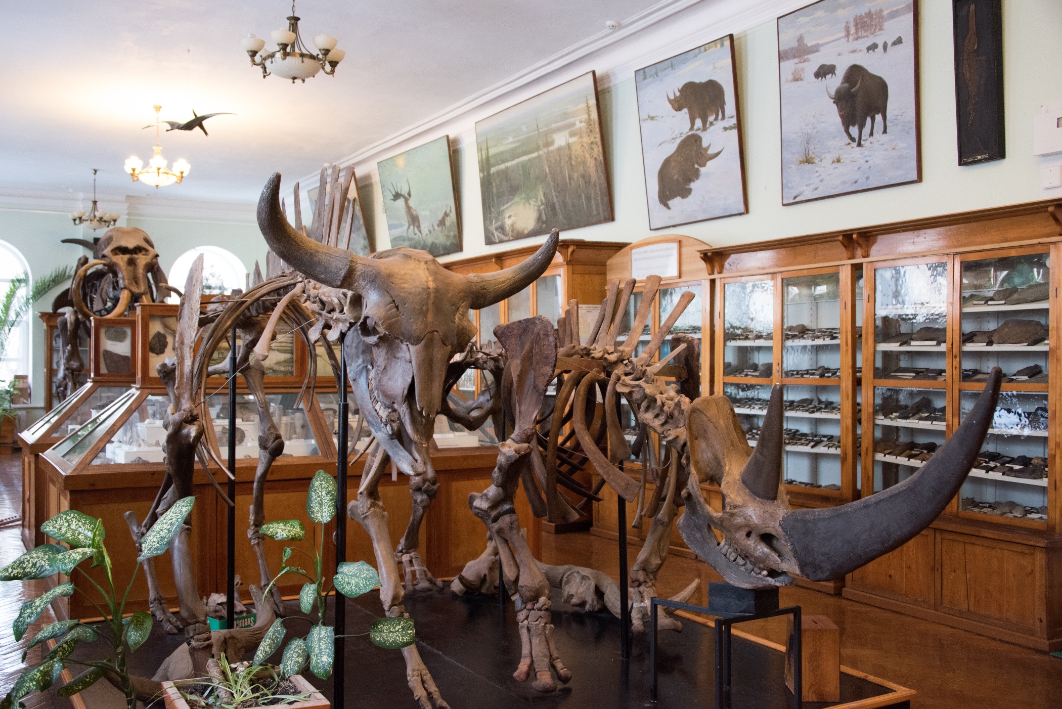 Палеонтологический музей в санкт петербурге