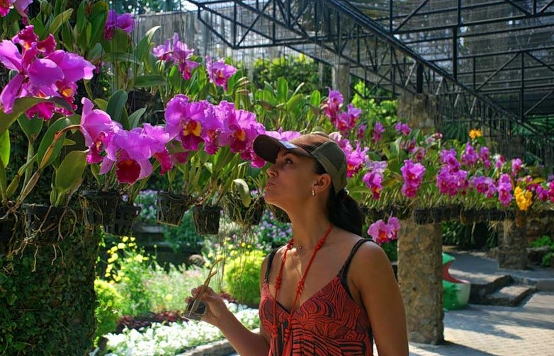 Тайская орхидея: фото цветка, где можно заказать и как правильно выбрать красавицу, а также что делать с растением после его получения в бутылке?