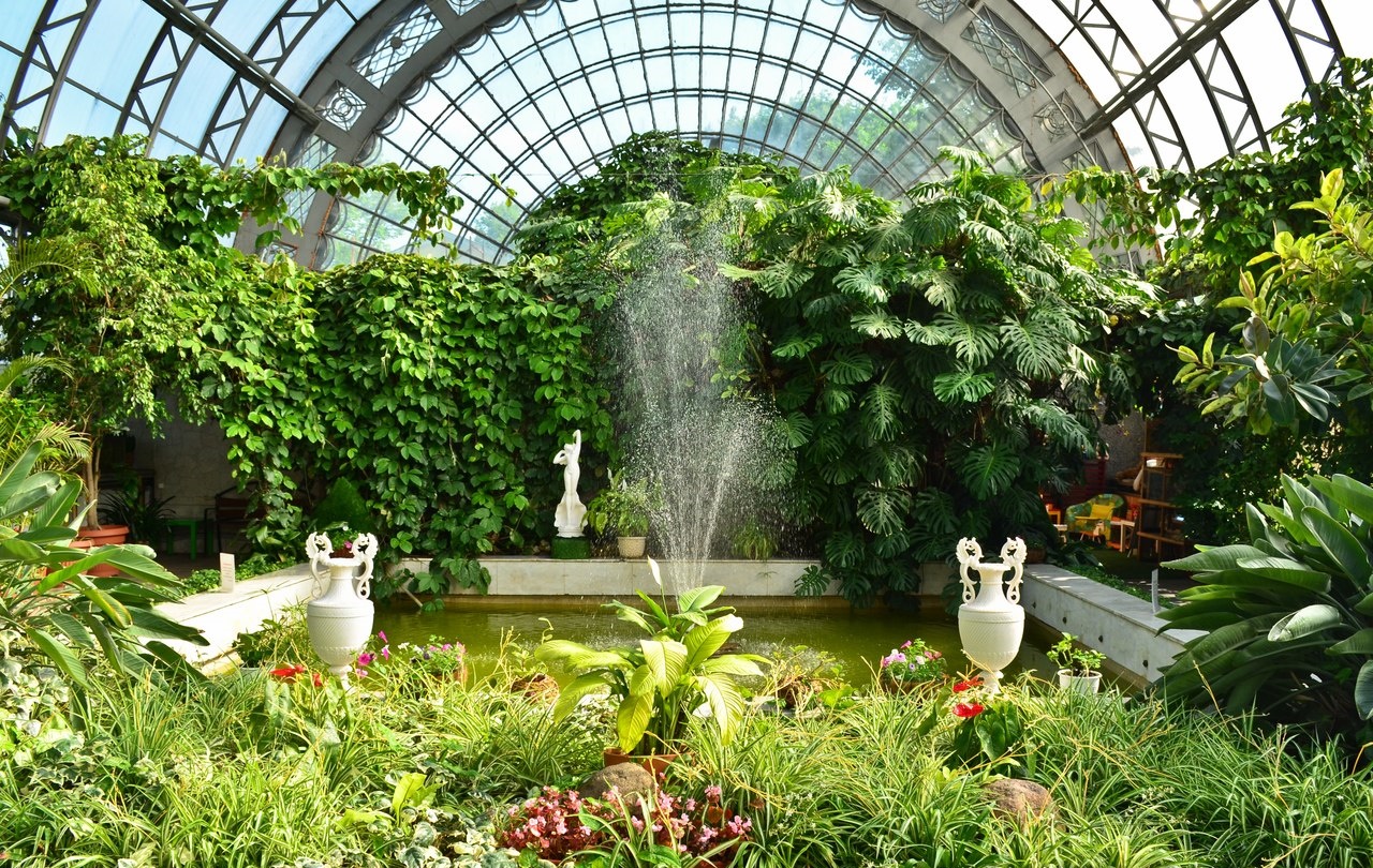 Таврический сад в санкт-петербурге: фото, как добраться и что посмотреть