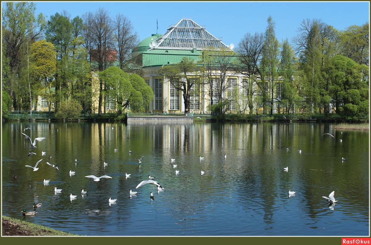 Таврический сад  описание и фото - россия - санкт-петербург : санкт-петербург