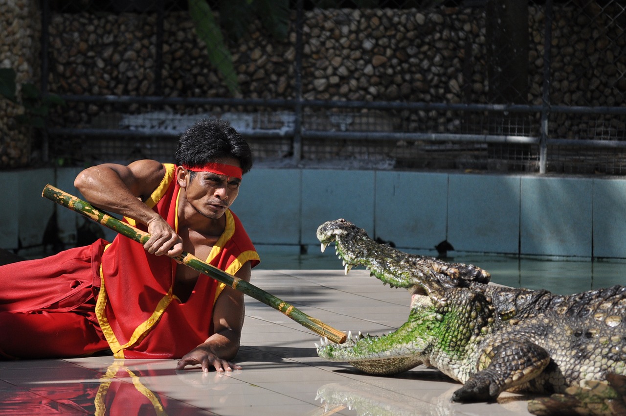 Нападения крокодилов на людей в бангкоке