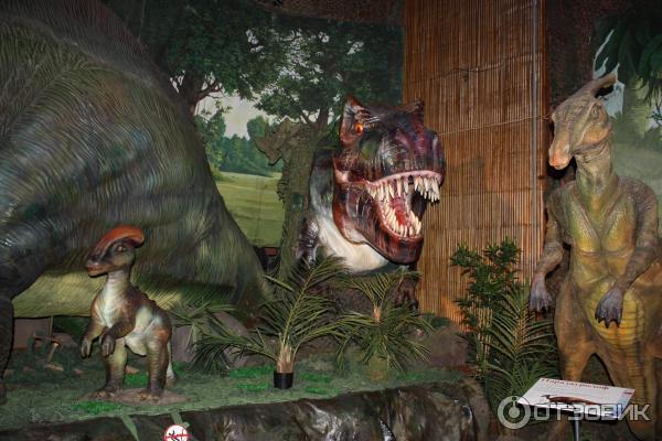 Музей динозавров в санкт-петербурге | гостиницы питера