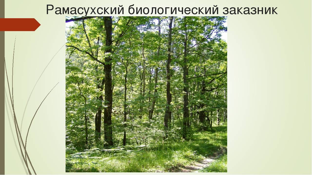 Особо охраняемые природные территории брянской области
