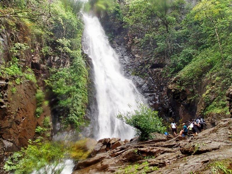 Водопад арвалем в гоа. индия. описание, координаты, фото